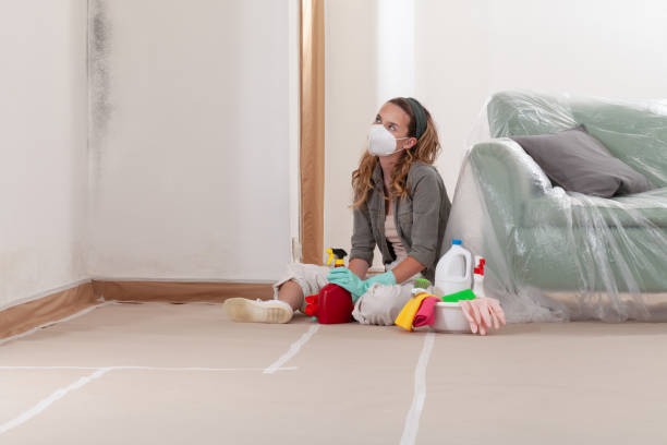 Reliable Mold Remediation contractor in Canton, NC by WQB Mold Removal
